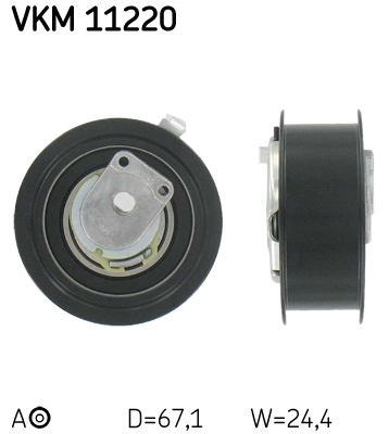 VKM 11220