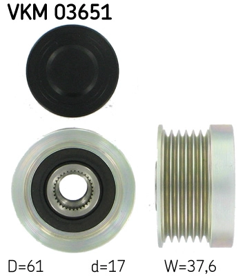 VKM 03651