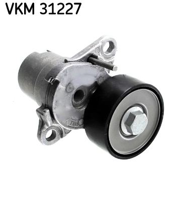 VKM 31227