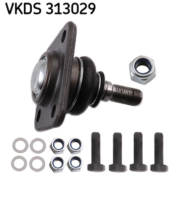 VKDS 313029