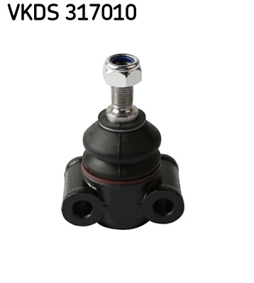 VKDS 317010