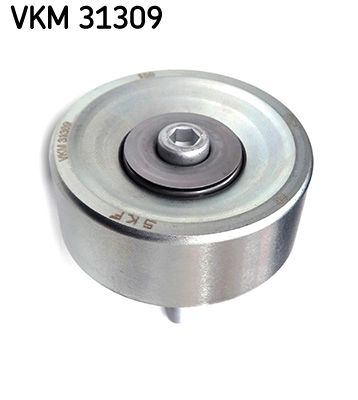 VKM 31309