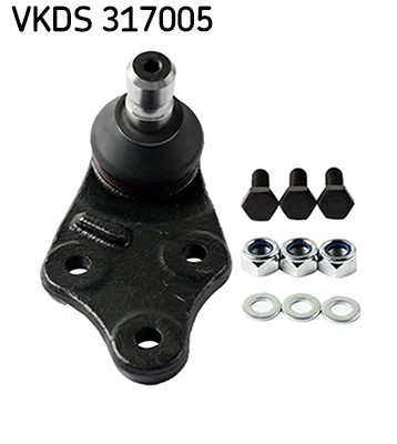 VKDS 317005