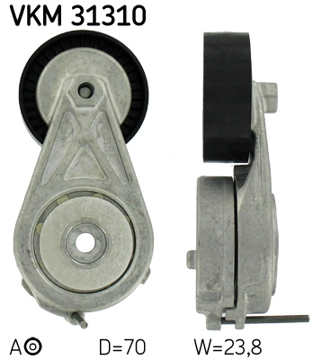 VKM 31310