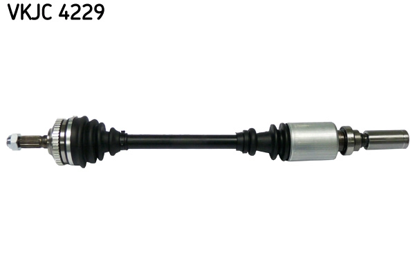VKJC 4229