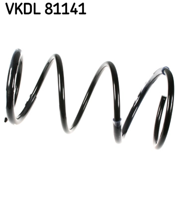 VKDL 81141