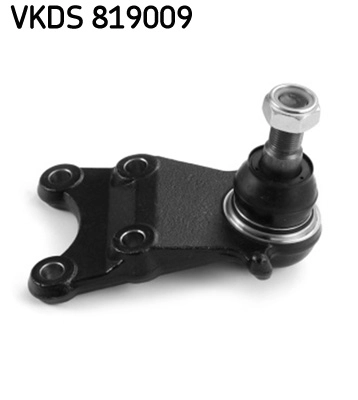 VKDS 819009