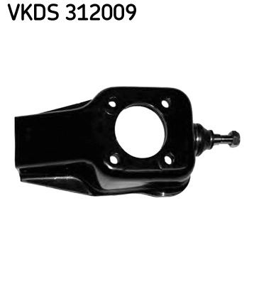 VKDS 312009