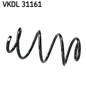 VKDL 31161
