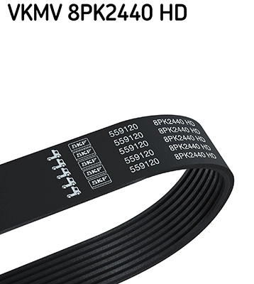 VKMV 8PK2440 HD
