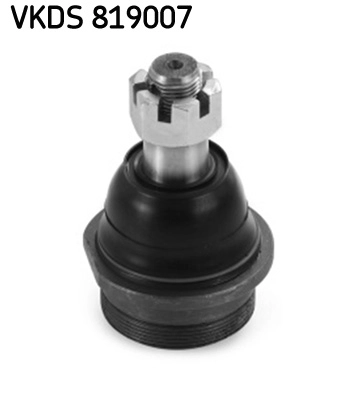 VKDS 819007