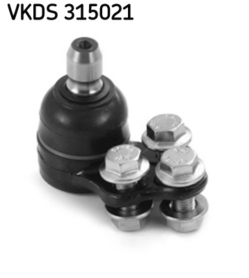 VKDS 315021