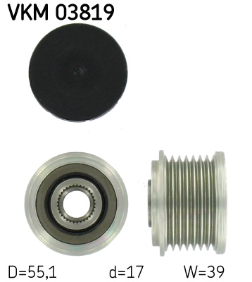 VKM 03819