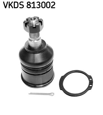 VKDS 813002