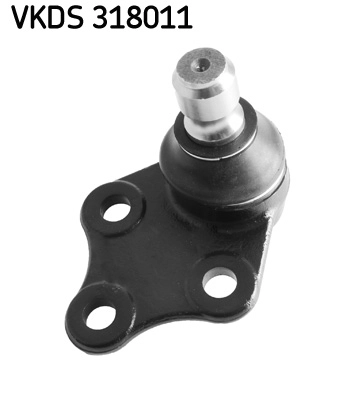 VKDS 318011