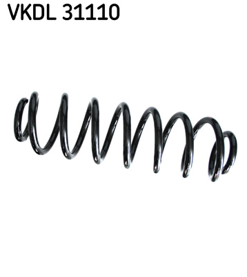 VKDL 31110