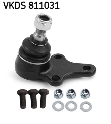 VKDS 811031