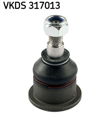 VKDS 317013