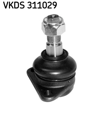 VKDS 311029