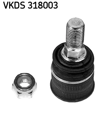 VKDS 318003