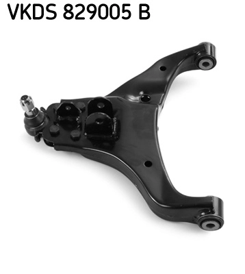 VKDS 829005 B