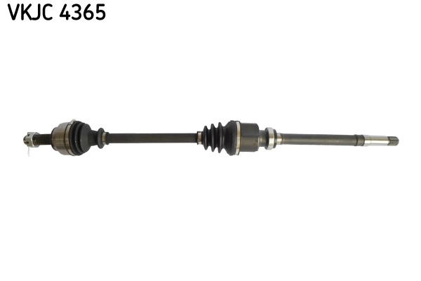 VKJC 4365
