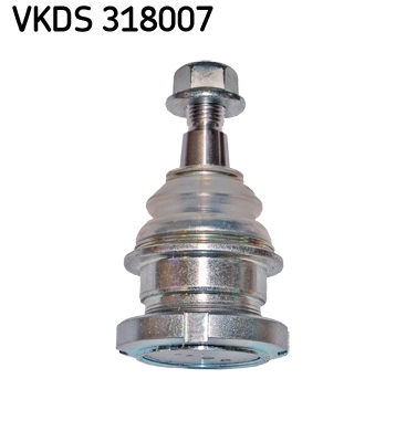 VKDS 318007