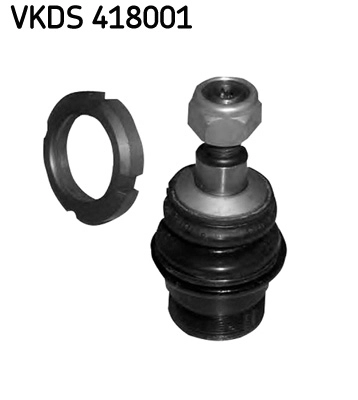 VKDS 418001