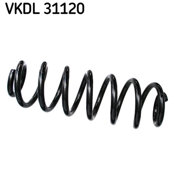 VKDL 31120