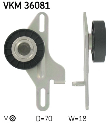 VKM 36081