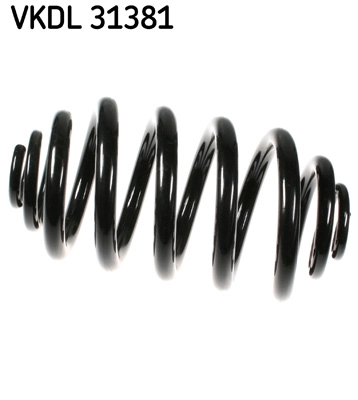 VKDL 31381
