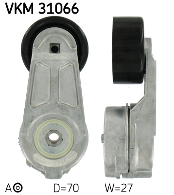 VKM 31066