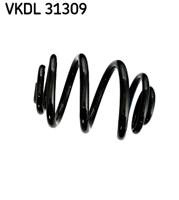VKDL 31309