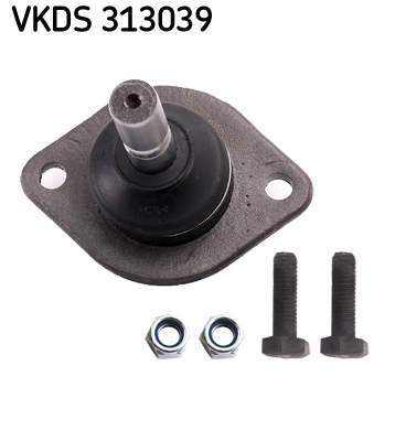VKDS 313039