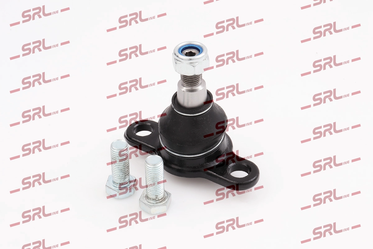 S6095504