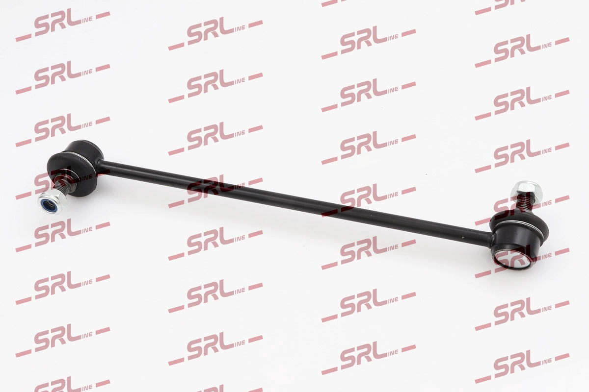 S6081009