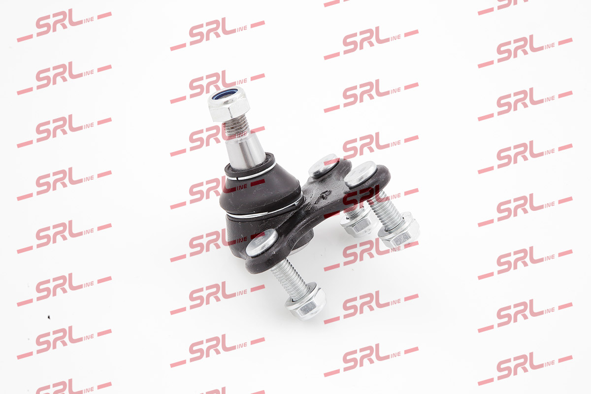 S6013503