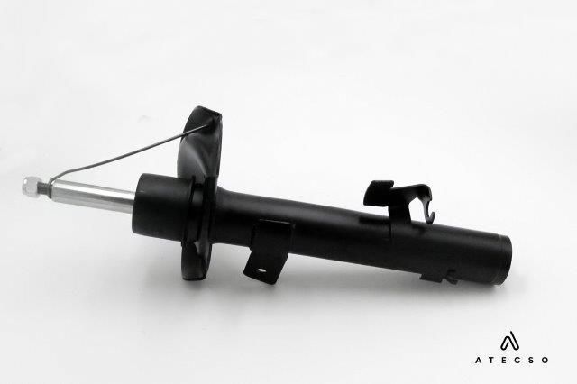 AMT00209