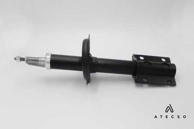 AMT00160