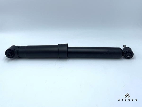 AMT00317