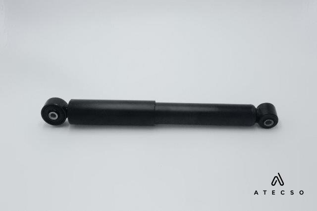AMT00101