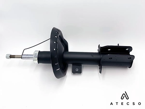 AMT00256