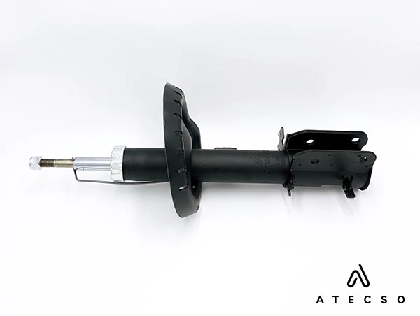 AMT00255