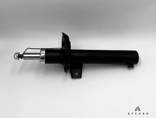 AMT00307