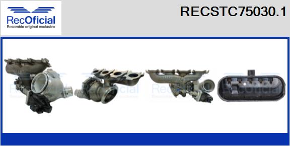 RECSTC75030.1