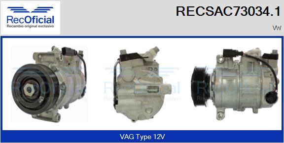 RECSAC73034.1