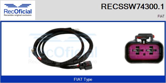 RECSSW74300.1