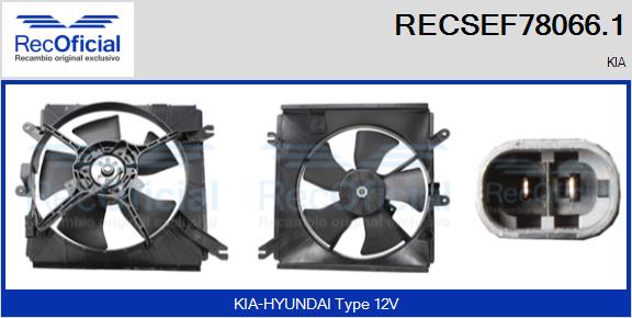 RECSEF78066.1