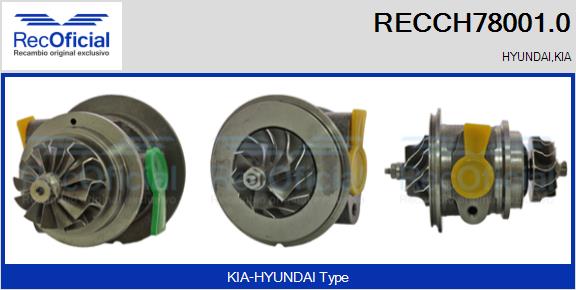 RECCH78001.0