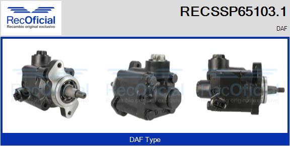 RECSSP65103.1